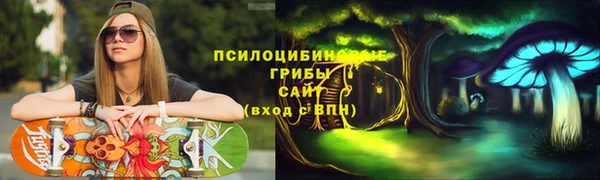 бошки Каменногорск