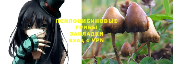 марки lsd Инсар