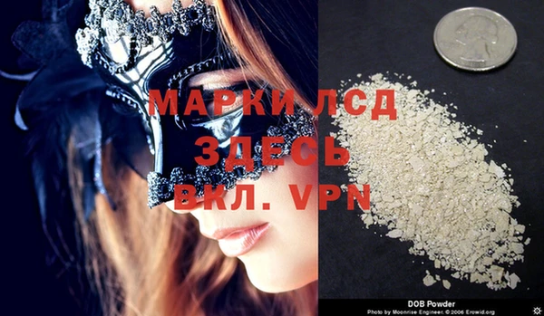 круглые Тайга