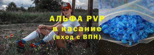 бошки Каменногорск