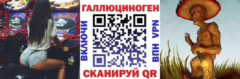 Купить где  Севск  Галлюциногенные грибы MAGIC MUSHROOMS 
